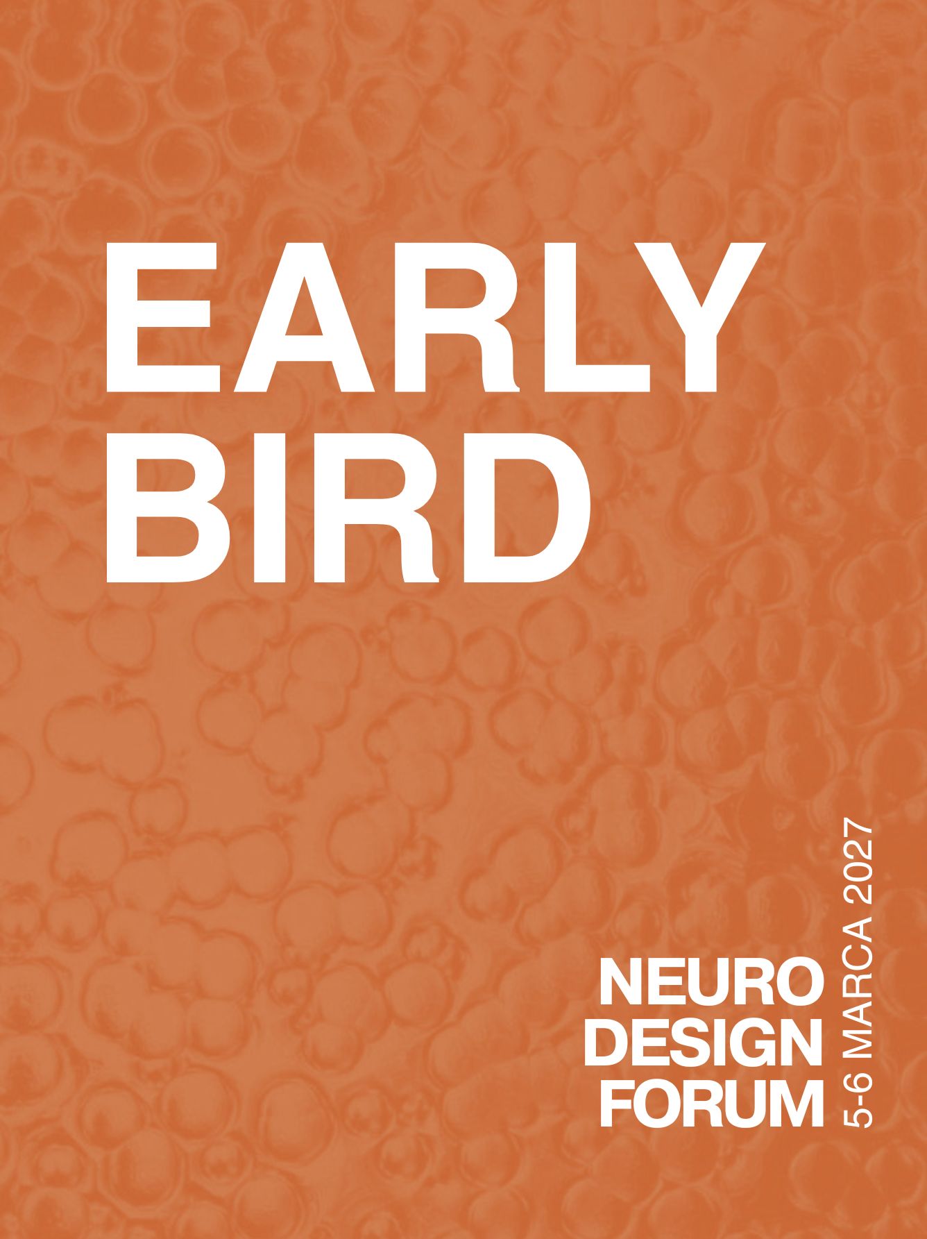 Bilet EARLY BIRD